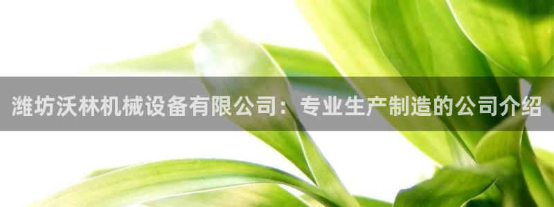 杏盛官网登录：潍坊沃林机械设备有限公司：专业生产制造的公司介绍